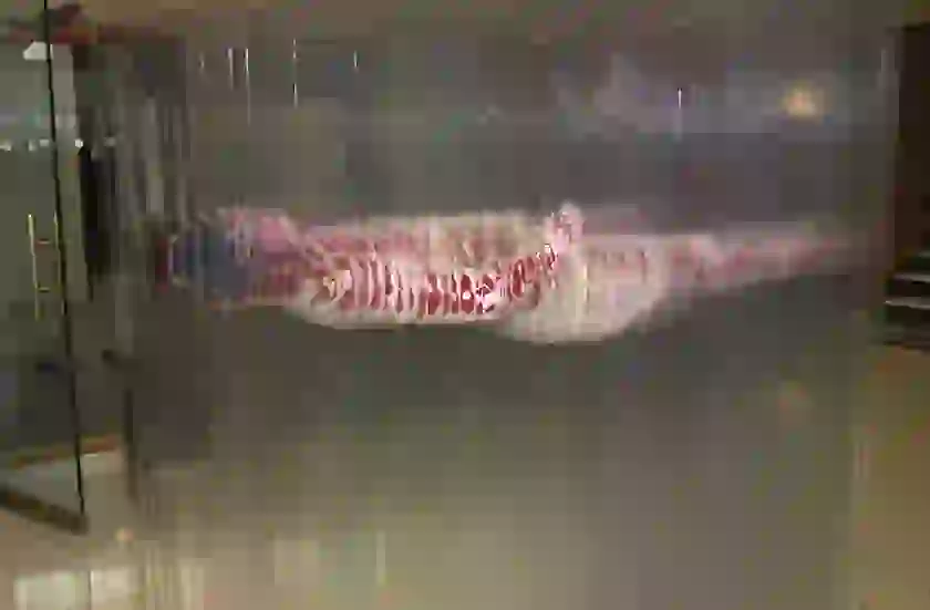sculpture instillation of photos of body sections