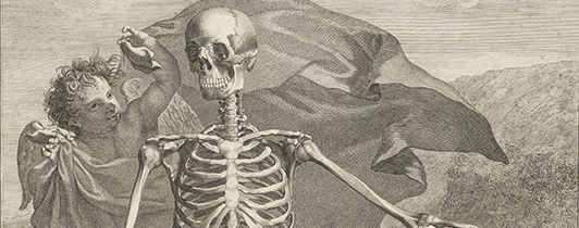 Detail from an anatomical engraving